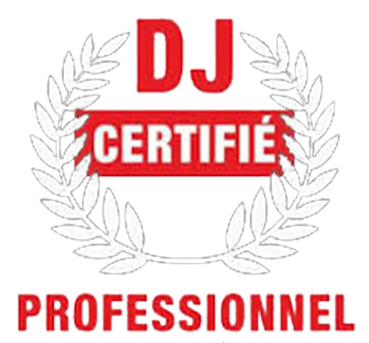 DJ certifié professionnel