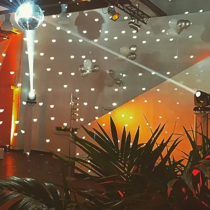 Boule a facette pour ambiance disco